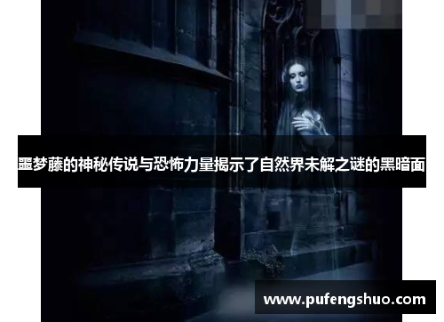 噩梦藤的神秘传说与恐怖力量揭示了自然界未解之谜的黑暗面