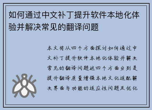 如何通过中文补丁提升软件本地化体验并解决常见的翻译问题